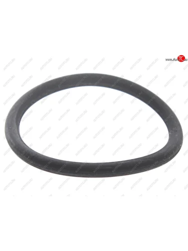 Кольцо уплотнительное MAN дв.D2866 форсунки топливной LEMA LEMA 122890