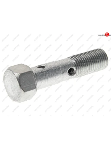 Болт-штуцер М10х1.0х40 МАЗ трубки подводящей к ТНВД ТМЗ ТМЗ 310239-п29