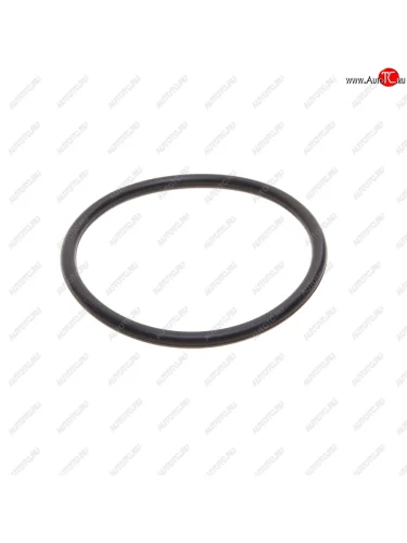 Кольцо уплотнительное SHACMAN SHAANXI дв.WP10 термостата OE SHACMAN 680340065