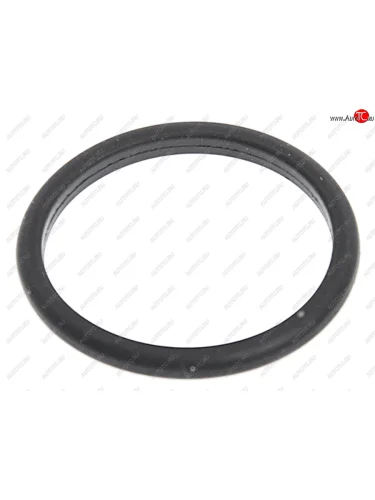 Кольцо уплотнительное JAC N75,N120 (ISF 3.8) КАМАЗ Компас-912 пробки масляного картера OE JAC 4995185f