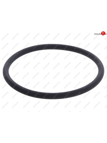 Сальник SCANIA P,G,R,T series ступицы передней DT DT 1.17107