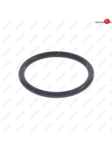 Кольцо уплотнительное ТНВД BOSCH BOSCH 2430210088