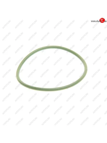 Кольцо уплотнительное MAN ТНВД BOSCH BOSCH f00n201857