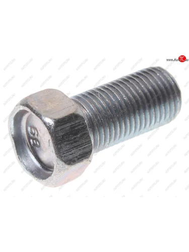 Болт М10х1.0х20 ГАЗ-2217,2705 опоры механизма двери боковой ЭТНА Красная Этна ОАО 201516-п29