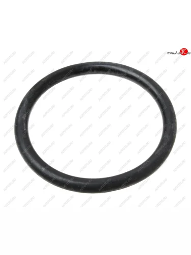 Кольцо ЯМЗ-650.10 фланца трубы подводящей АВТОДИЗЕЛЬ ЯМЗ 650.1303248