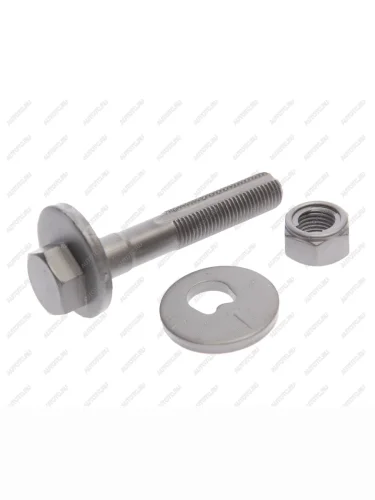 Болт AUDI Q7 (05-) рычага подвески задней сход-развальный LYNX LYNX fs1214