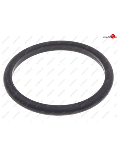 Кольцо уплотнительное JAC N75,N120 (ISF 3.8) пробки масляного картера OE JAC 4995185