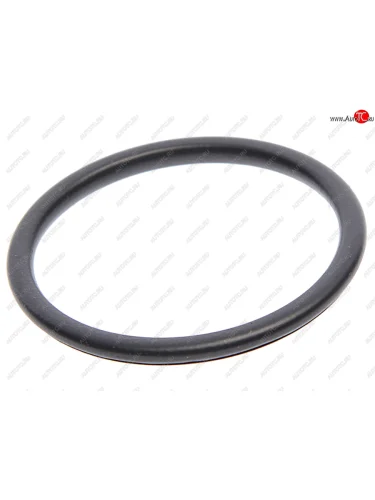 Кольцо уплотнительное HONDA Accord (95-98) глушителя FA1 FA1 791-949