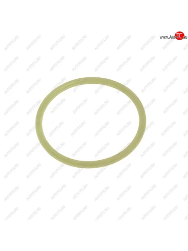 Кольцо ЯМЗ-650.10 уплотнительное трубы теплообменника РД РУССКИЙ ДВИГАТЕЛЬ 650.1013638