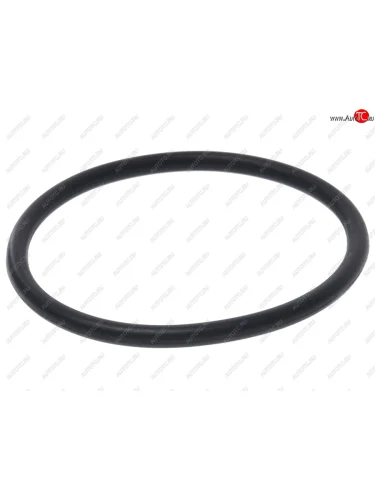 Кольцо уплотнительное BOSCH BOSCH f00r0p0166