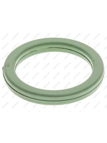 Кольцо уплотнительное VOLVO RENAULT насоса масляного DT DT 2.11110