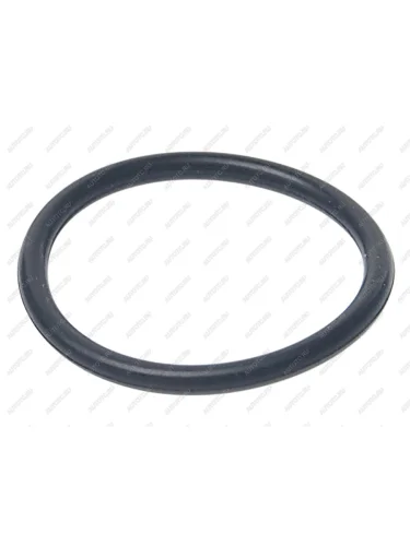 Кольцо ВАЗ-2110 уплотнительное регулятора холостого хода  2112-1148376