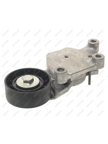 Ролик приводного ремня PEUGEOT 206,207,307 CITROEN C4,C2,C3 натяжителя DAYCO DAYCO apv1076