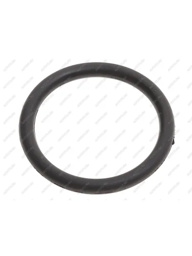 Кольцо уплотнительное JAC N200 передней крышки двигателя OE JAC d3958414