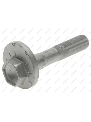 Болт AUDI A4 (06-15) сход-развальный эксцентриковый OE VAG wht002053