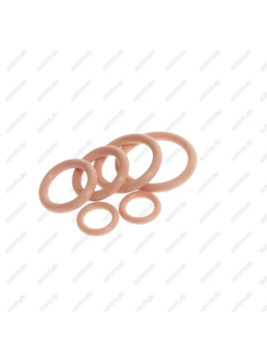 Кольцо уплотнительное ЛАДА Largus RENAULT Logan трубки радиатора комплект (6шт.) FEBEST FEBEST 24400-003-kit