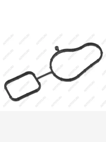 Прокладка насоса системы охлаждения VAG Q3Q5OCTAVIAPASSATTIGUAN BZBCABACCTACDHA VAG 06H121119F