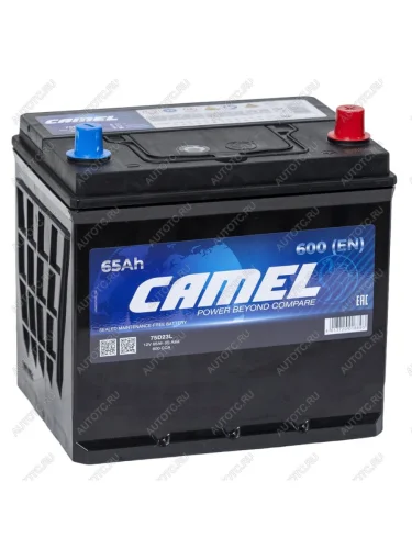 Аккумулятор CAMEL Asia 65Ач обратная полярность CAMEL 6ст65(0) 75d23l