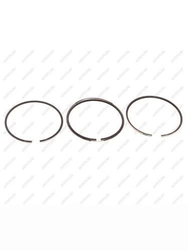 Кольца поршневые SHACMAN SHAANXI дв.WP10H (на 1 поршень) OE SHACMAN 1003321678