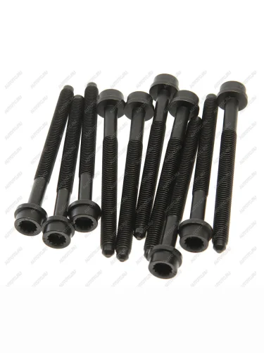 Болт VW Golf (13-) AUDI A3 (08-) головки блока комплект VICTOR REINZ VICTOR REINZ 14-32383-01