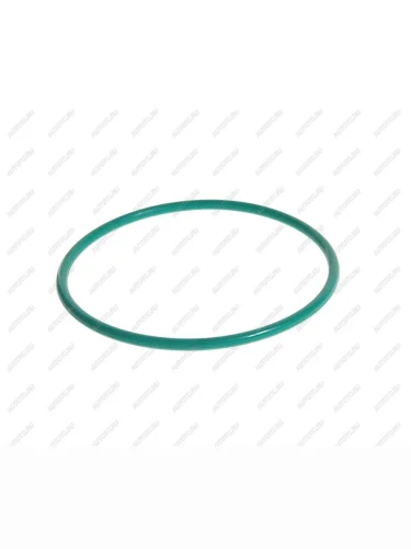 Кольцо уплотнительное OPEL фильтра масляного (исп. с фильтром 12605566) (ACDelco Professional) OE GENERAL MOTORS 12580255