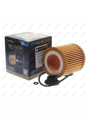 Фильтр масляный BMW 1 (F20,21),2 (F22),3 (F30,34),4 (F32),5 (F10) CWORKS CWORKS b160g0037