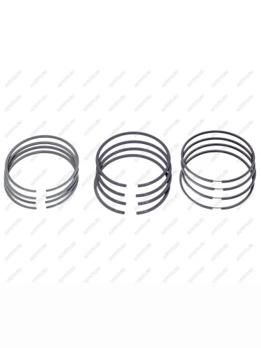 Кольца поршневые ГАЗ-3302 дв.УМЗ ЕВРО-4 d=100.0 (с низк.кольцами) комплект на двигатель (ОАО ГАЗ) GAZ вк42164.1004023