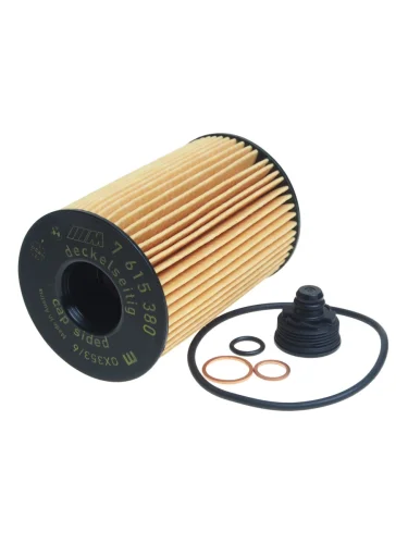 Фильтр масляный BMW 5 (F10,F18),6 (F06,F12,F13),X5 (E70,F15,F85),X6 (E71,F16) OE BMW 11425a33c43