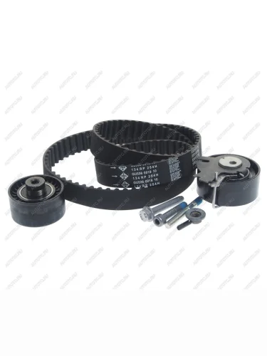 Комплект ГРМ PEUGEOT 206,207,307 CITROEN C3,C4 (1.6) INA INA 530037910