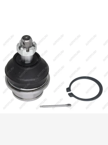 Шаровая опора верхнего рычага D=42 NISSAN FRONTIER/NAVARA/PATHFINDER 05- LH=RH 555 SB-N281, sbn281 555 SB-N281