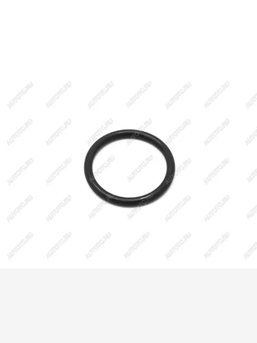 Кольцо уплотнительное системы охлаждения MITSUBISHI MANY 4G1# NOK CO6966-G0