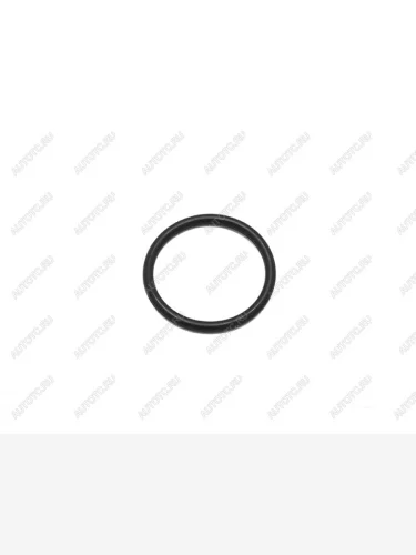 Прокладка термостата VAG POLOOCTAVIAFABIA 1.6 10-15 CFNA SAT ST-233-0007