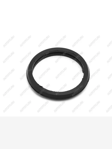Прокладка термостата CITROENPEUGEOTFORD TRANSITBOXERJUMPER SAT ST-233-0027