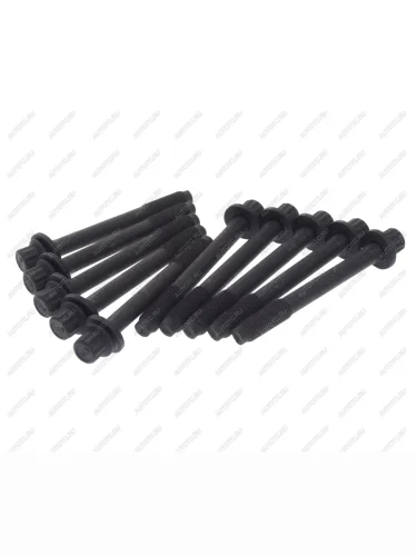 Болт HYUNDAI Sonata 5,Santa Fe KIA Magentis,Sorento головки блока комплект ZIKMAR ZIKMAR z16514r