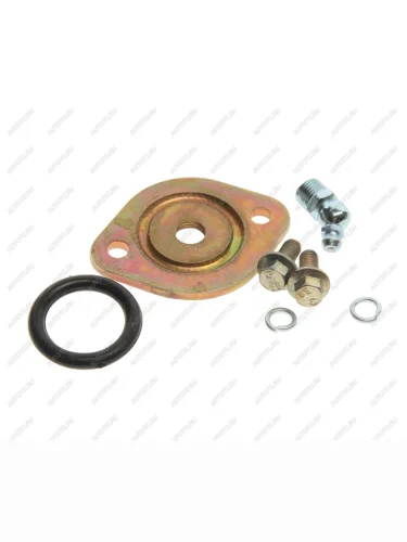 Крышка ГАЗ-3302,3307 шкворня 4мм с крепежом, масленка 45 градусов комплект NO NAME 3307-300104145