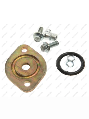 Крышка ГАЗ-3302,3307 шкворня 4мм с крепежом, масленка 90 градусов комплект NO NAME 3307-300104190