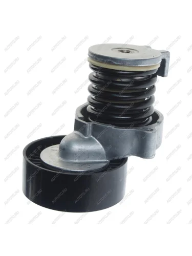 Ролик приводного ремня MERCEDES C (W204) PATRON PATRON pt38051