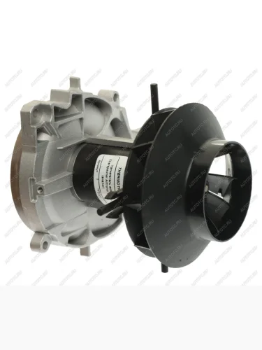 Мотор отопителя автономного EBERSPAECHER D4 12V ТЕРМОТРАНС ТЕРМОТРАНС tt2021