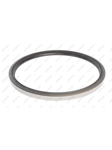 Сальник IVECO EuroCargo,EuroTech,EuroStar,EuroTrakker ступицы задней (180х200х12) ELRING ELRING 018.670
