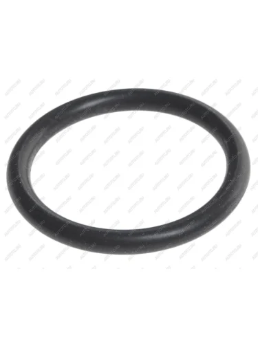 Кольцо уплотнительное VW OE VAG wht005440