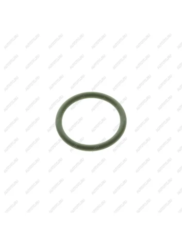 Кольцо VW Golf,Passat AUDI 80,100,A6 форсунки топливной JP JP 1115550600