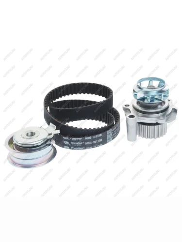 Комплект ГРМ VW Golf,Jetta,Bora AUDI A3,A4 SKODA Octavia (с помпой для 2.0) GATES GATES kp15489xs-2