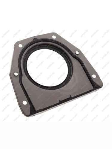 Сальник коленвала FORD Focus (04-11) задний NSP NSP nsp091784775