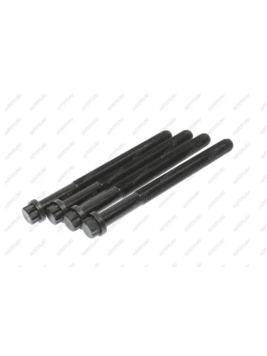 Болт MERCEDES Actros дв.OM501,502 головки блока комплект (4шт.) ELRING ELRING 060.220