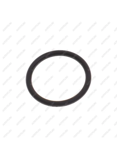 Кольцо 023-027-25 ГОСТ 9833-73 ОАО БРТ БЕЛАРУСЬРЕЗИНОТЕХНИКА 023-027-25-2-2