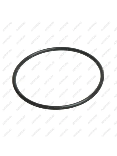 Кольцо 054-058-25 ГОСТ 9833-73 заглушки шкворня МАЗ ОАО БРТ БЕЛАРУСЬРЕЗИНОТЕХНИКА 054-058-25-2-2