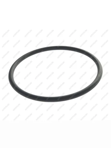 Кольцо 100-110-58 ГОСТ 9873-33 ОАО БРТ БЕЛАРУСЬРЕЗИНОТЕХНИКА 100-110-58-2-2