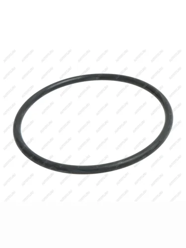 Кольцо 105-115-58 ГОСТ 9873-33 ОАО БРТ БЕЛАРУСЬРЕЗИНОТЕХНИКА 105-115-58-2-2