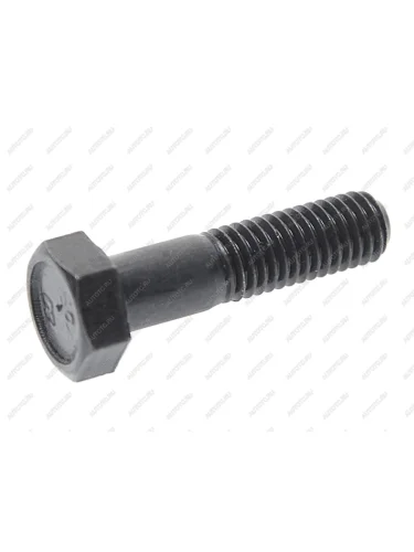 Болт М8х1.25х30 ВАЗ-2121 опоры шаровой ТТМ ТМ 2121-2904194