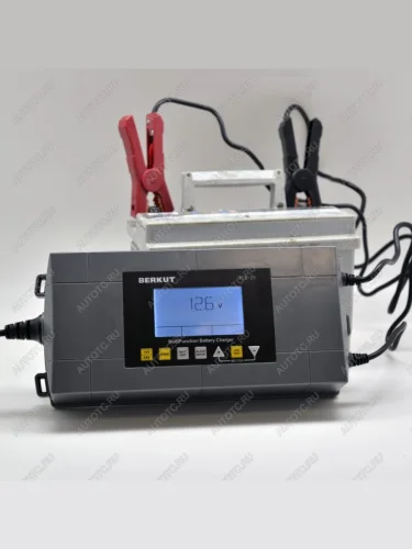 Зарядное устройство BERKUT BCA-25  bca-25